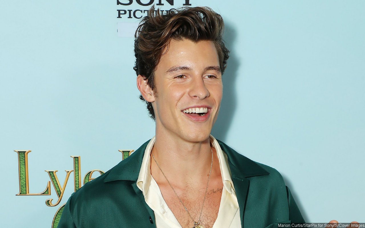 Shawn Mendes Flaunts Red Hot Sunburn in New Shirtless Pics 