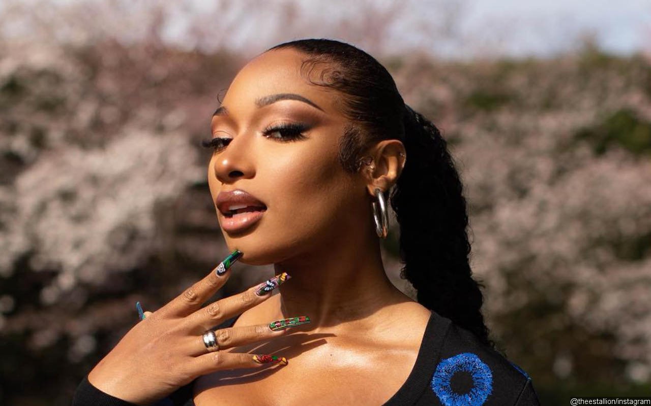 Megan Thee Stallion Trends on Twitter After Her First Pitch at Houston Astros Opening Day Game