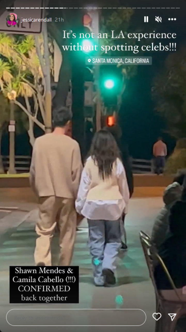 Shawn Mendes and Camila Cabello Holding Hands in L.A.