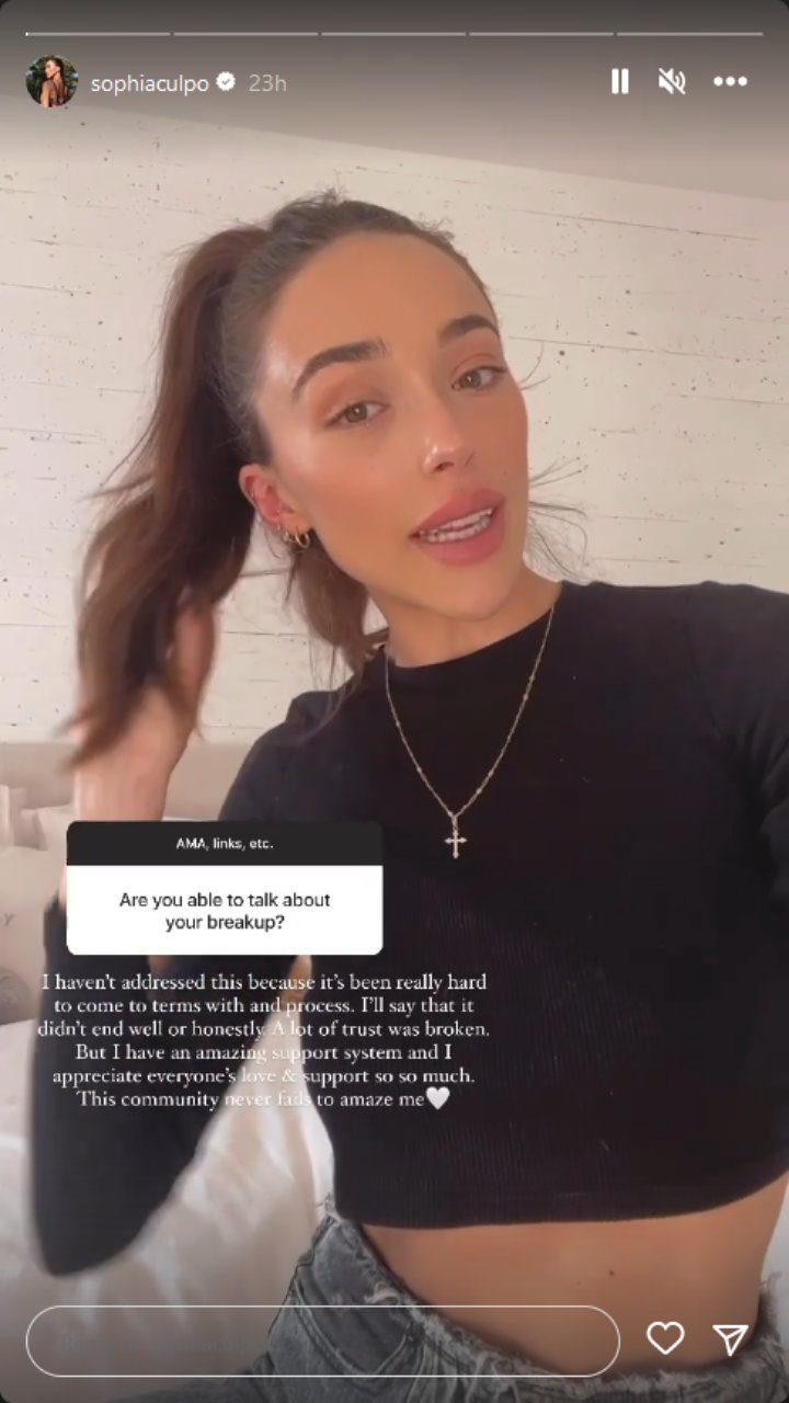 Sophia Culpo Instagram Story