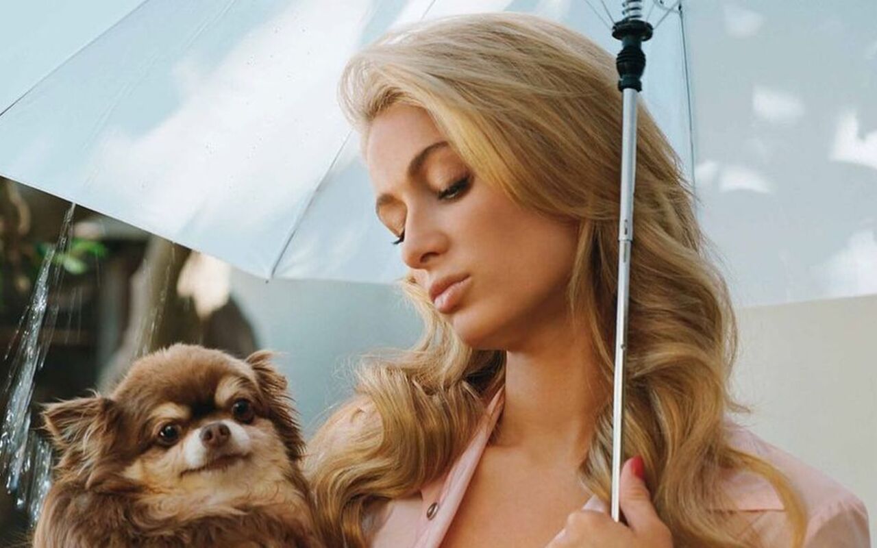 Paris Hilton Gutted by the Loss of Her 'Precious' Dog