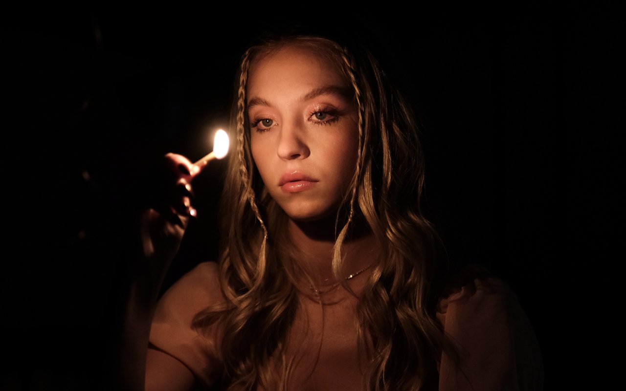 Sydney Sweeney Hopes to 'Go to Crazy Places' With 'Euphoria' Role