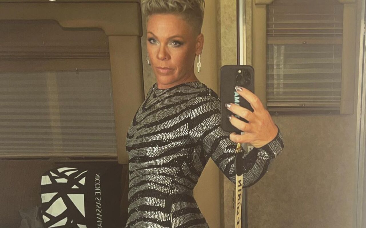 Pink Brags About Being an 'Embarrassing Mom' as She Shares Nude Pic