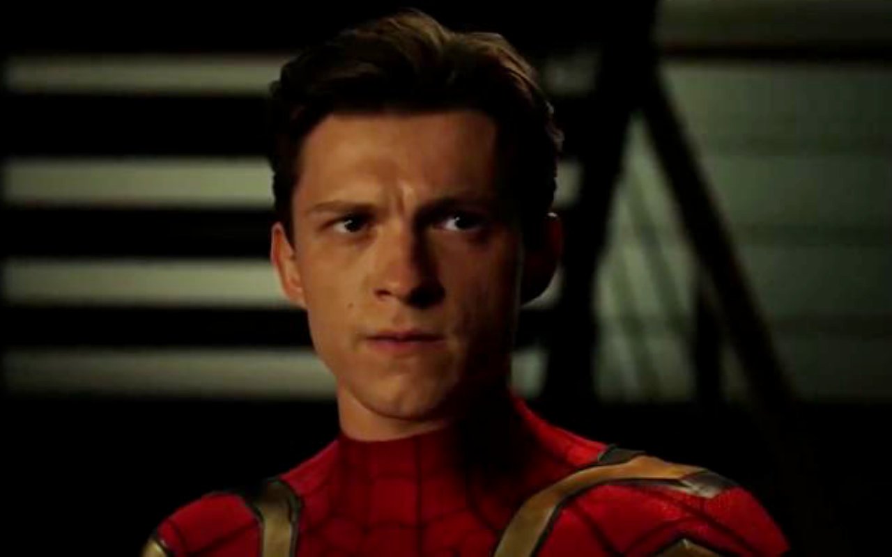 Tom Holland Keen to Reprise 'Spider-Man' Role Under Certain Conditions