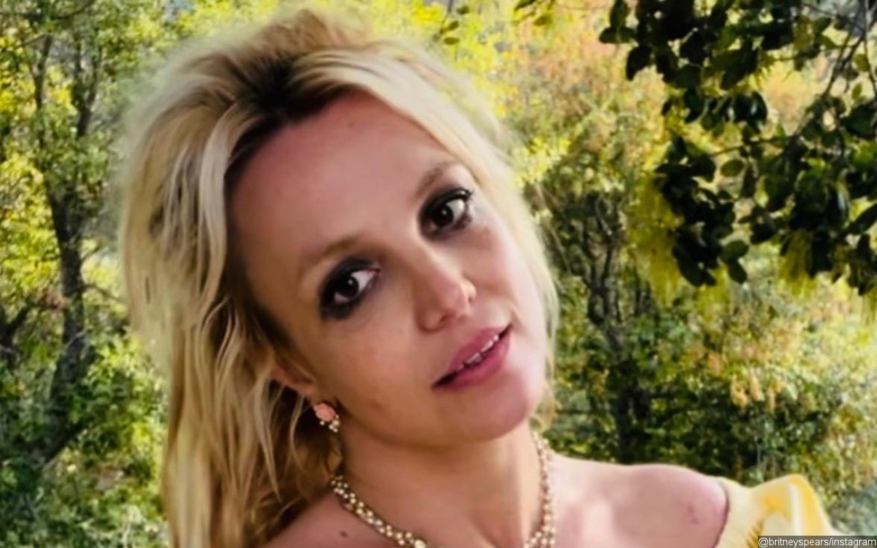 Britney Spears Blames 'All Those Rules' and 'Not Having Voice' for Her Quitting 'the Business'