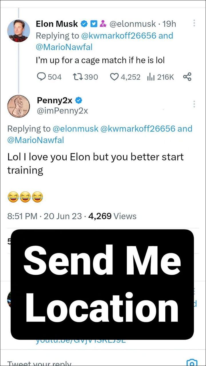 Mark Zuckerberg responds to Elon Musk's cage fight challenge
