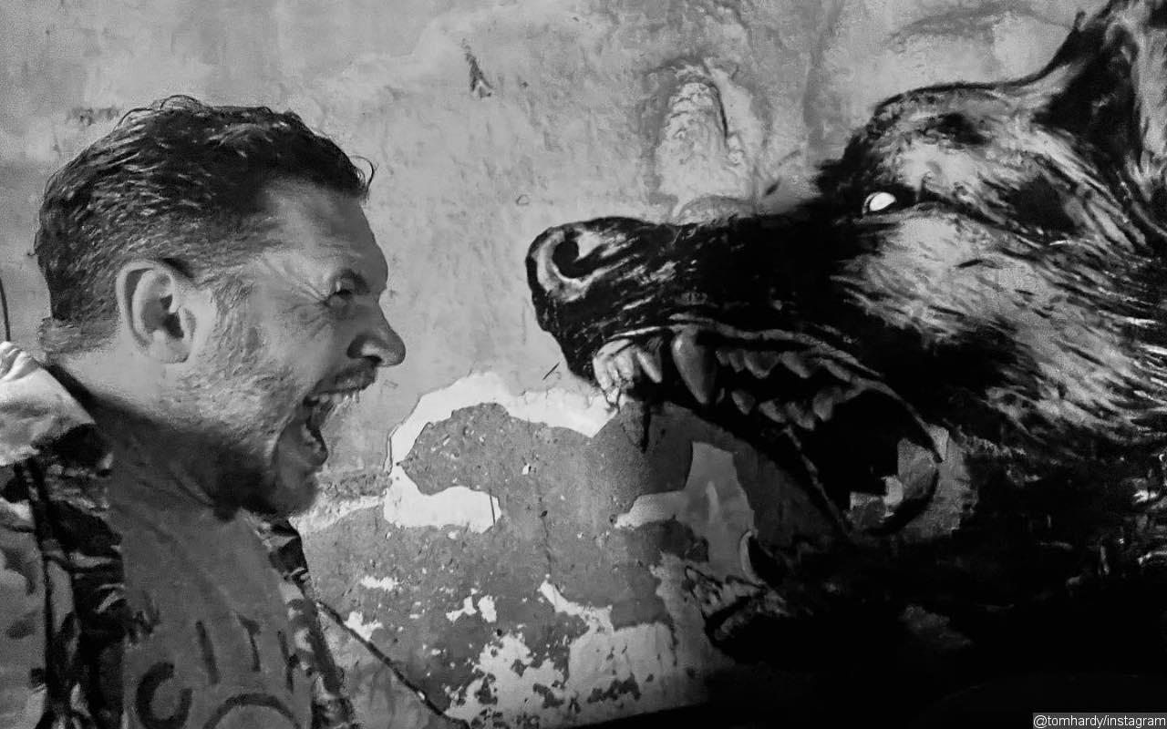 Tom Hardy Unleashes First Picture From 'Venom 3' Set