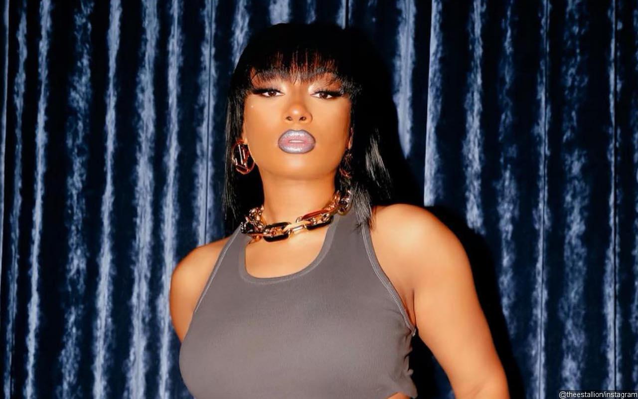 Megan Thee Stallion Debuts New Frosty Blue Hair in Racy Photos