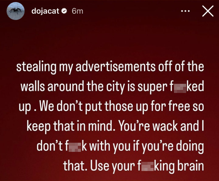 Doja Cat Instagram Story