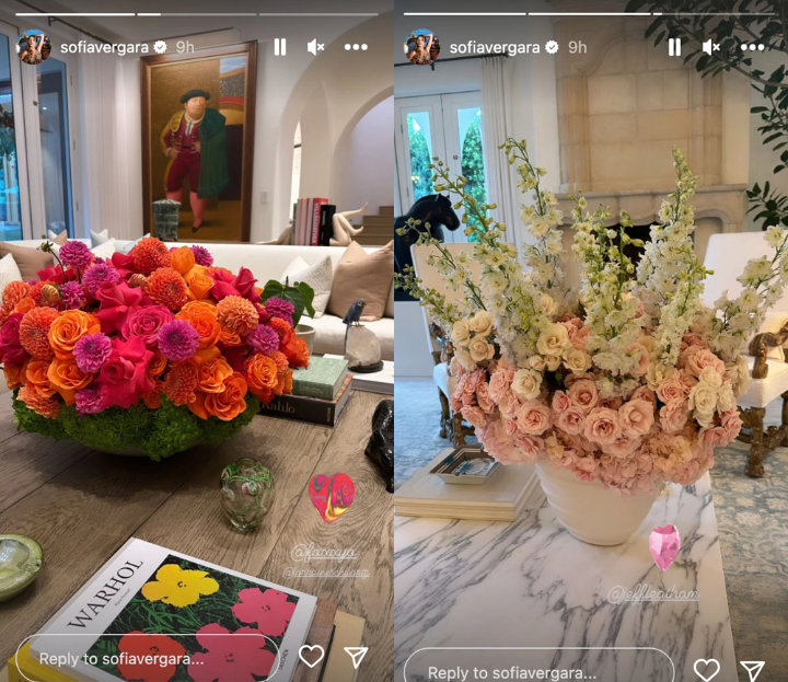 Sofia Vergara Instagram Story