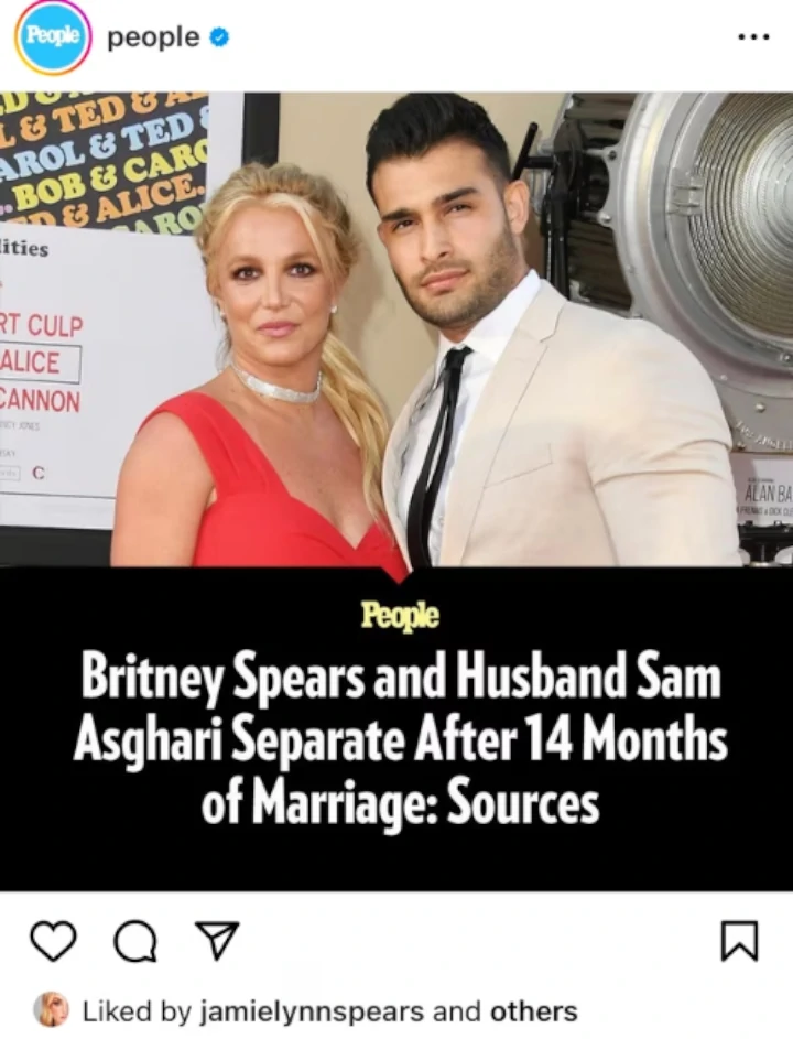 Jamie Lynn Reacted to Britney Spears' Divorce