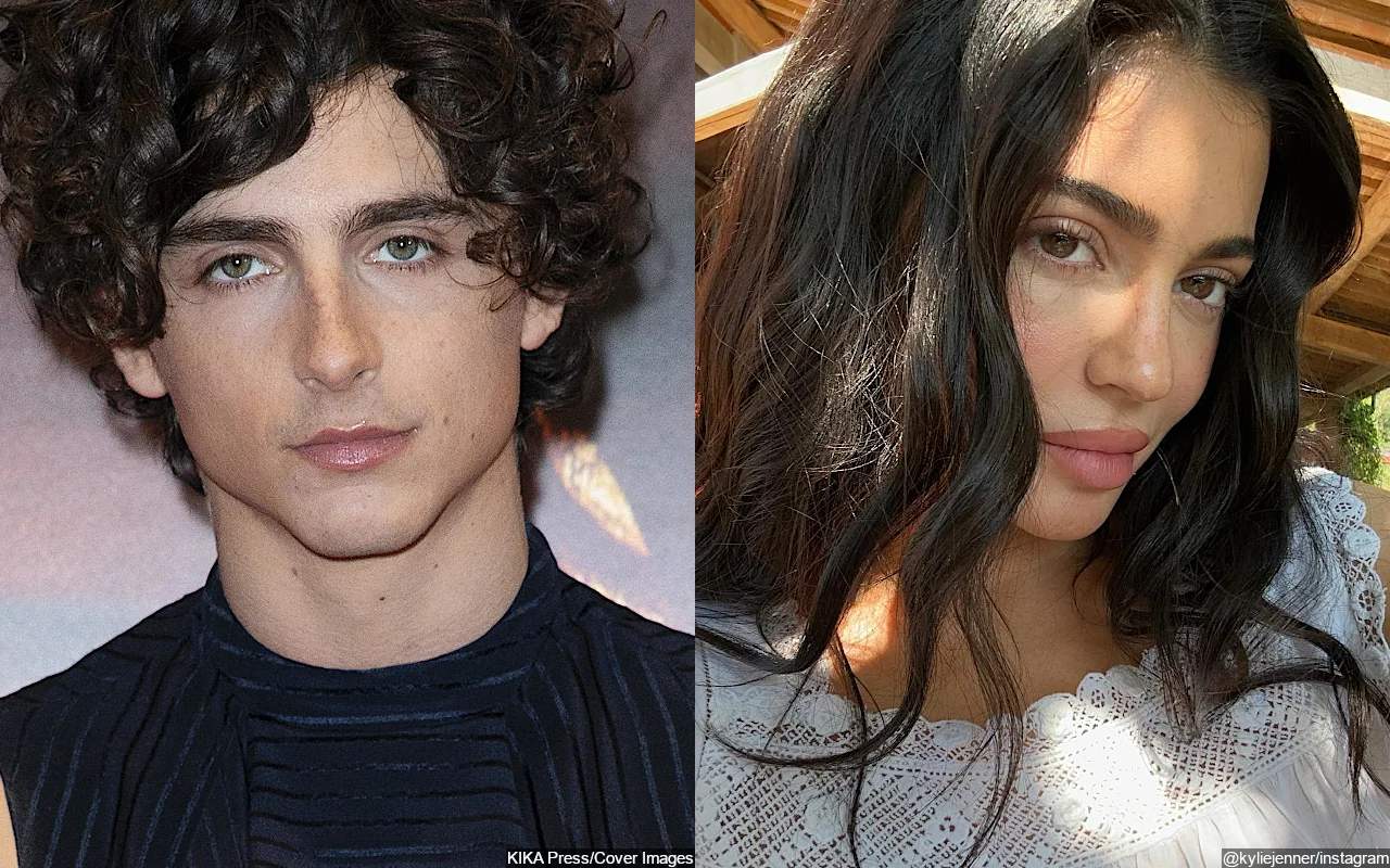 Timothee Chalamet Posts Thirst Trap Amid Kylie Jenner Romance Rumors
