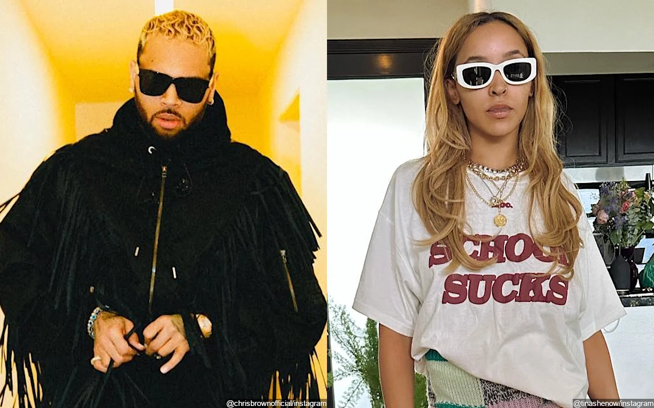 Chris Brown Blasts 'Evil' Tinashe After She Expresses Regret Over Their Collaboration