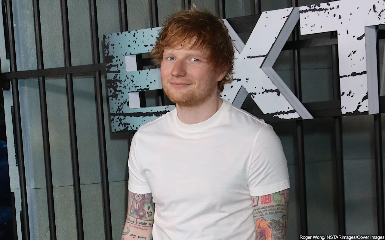 Ed Sheeran Praised by 'Sumotherhood' Director for His Acting Chops