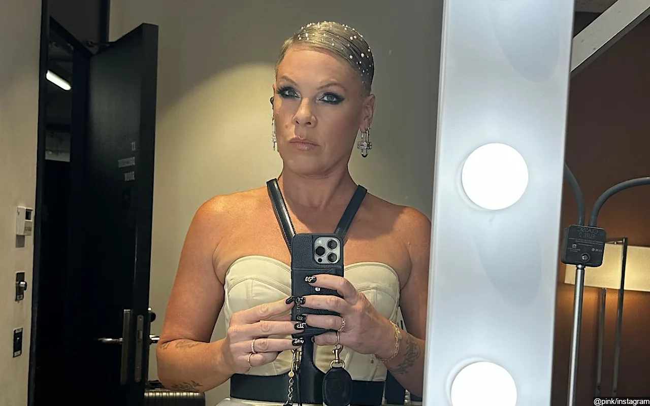 Pink Promises 'Incredible Show' to Make Up for Postponed Vancouver Concerts