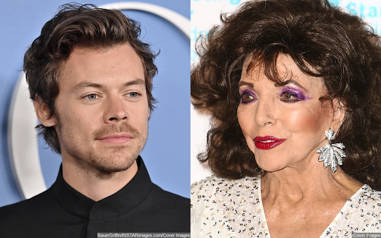 Harry Styles Called Out by Joan Collins Over 2019 Met Gala Incident