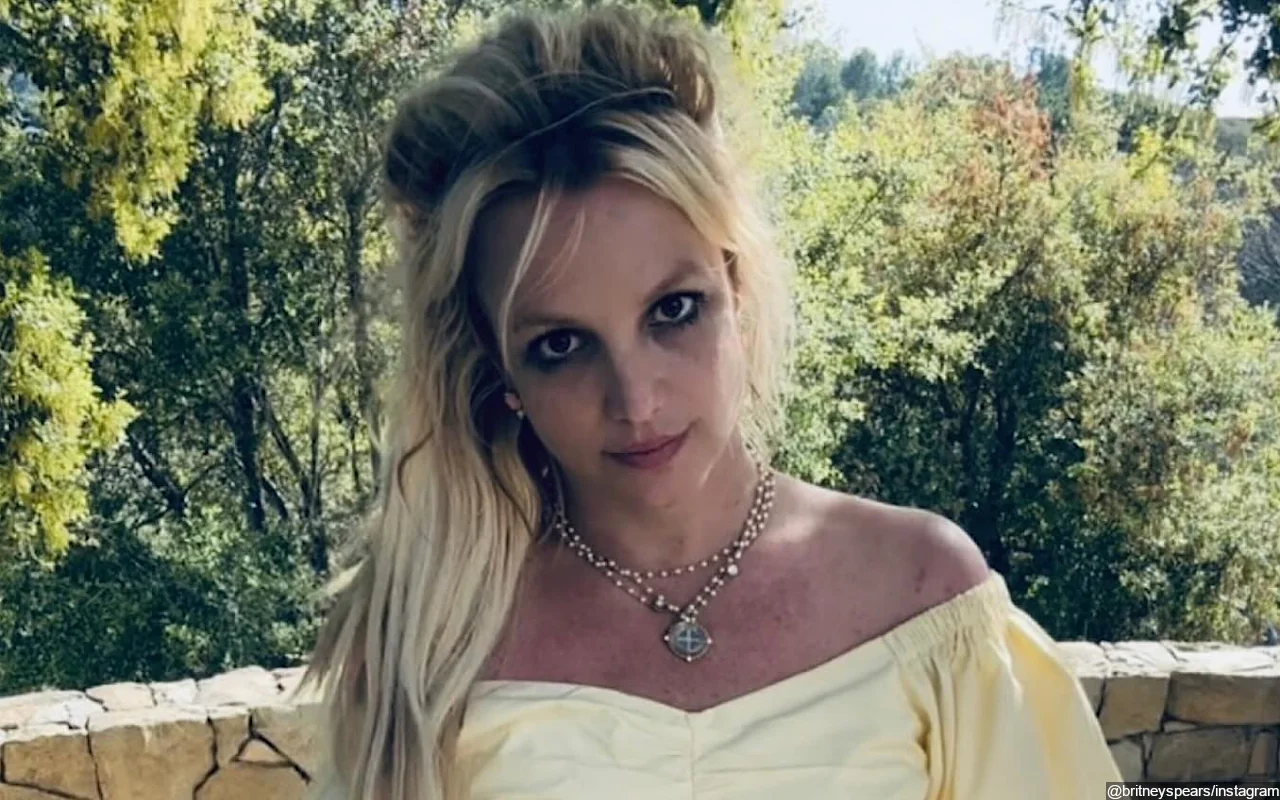 Britney Spears Posts Picture With Ex David Lucado After Sam Asghari Split