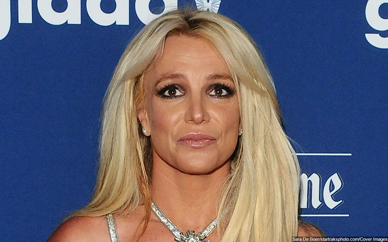 Britney Spears Shares Picture of Mystery Man After Reminiscing Past Romance