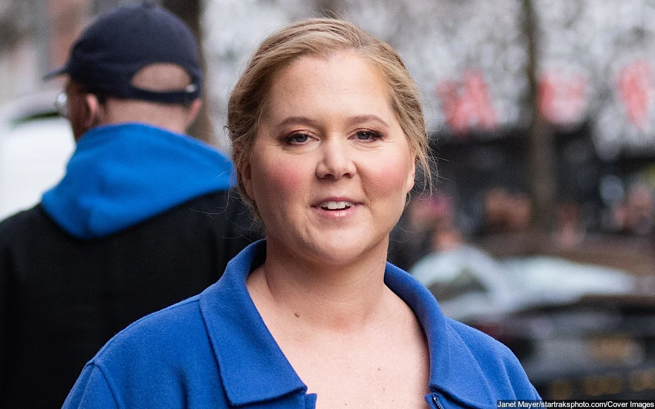 Amy Schumer Cheerfully Poses Sans Top in Bathroom in New Photo