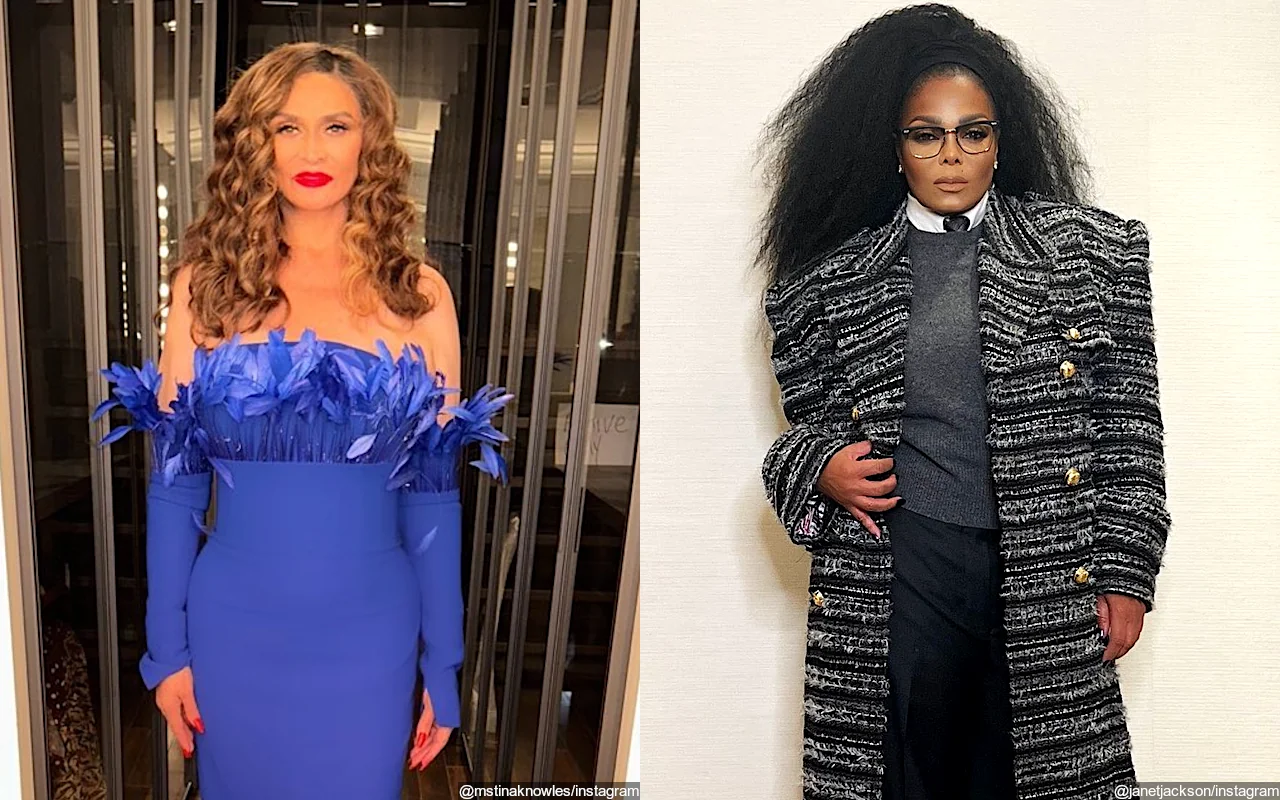 Beyonce's Mom Tina Knowles Called 'Messy' for Liking Shady Post About Janet Jackson