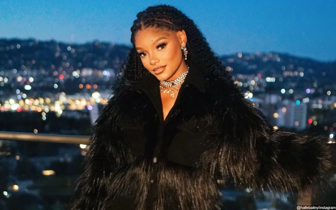 Halle Bailey Checks Troll Who Criticizes Her for Sharing Pregnancy Journey After Initially Hiding It
