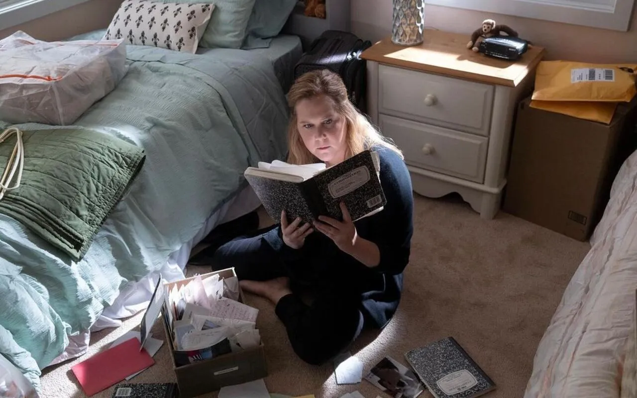 Amy Schumer Determined to Fight Stigma Surrounding Autism With New TV Series 'Life and Beth'