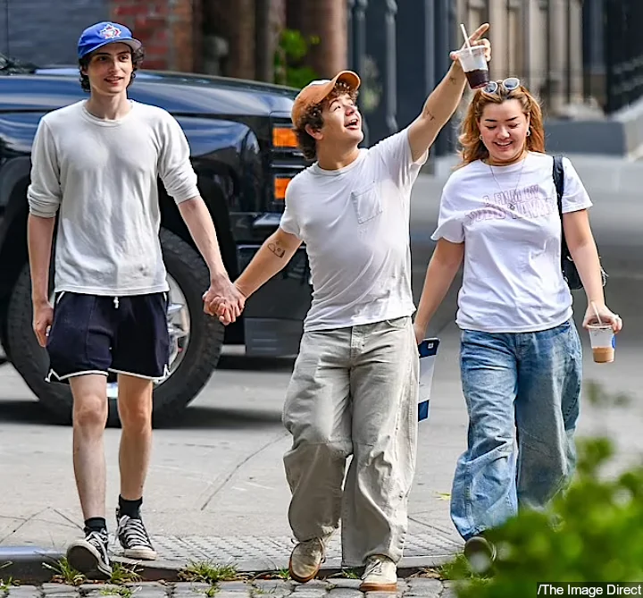 Finn Wolfhard and Gaten Matarazzo House Hunting With Elizabeth Yu
