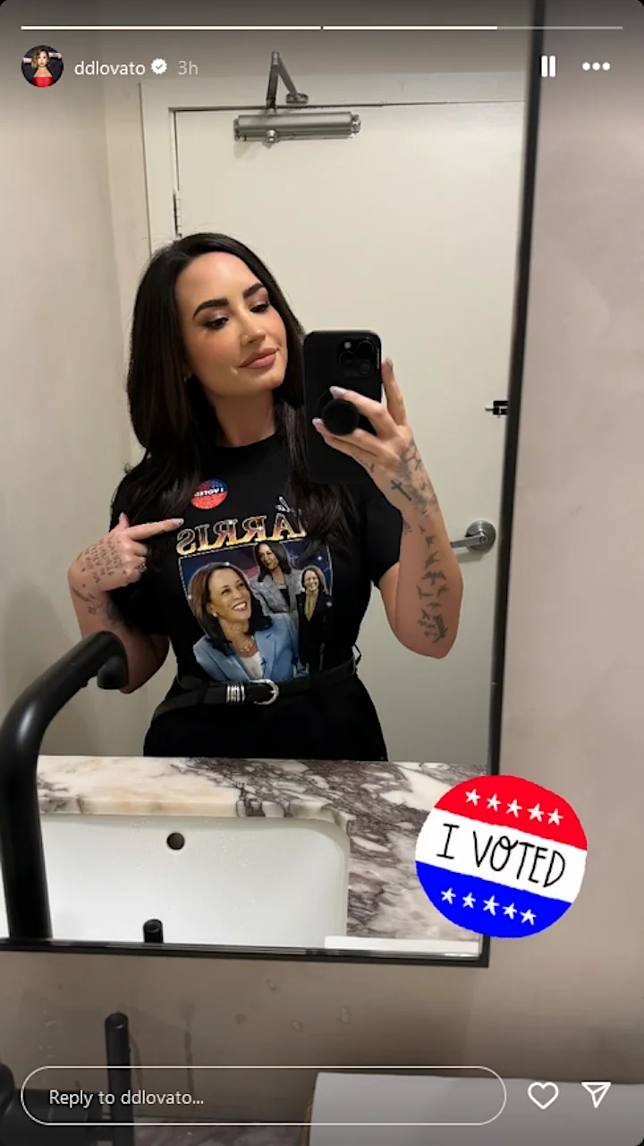 Demi Lovato's IG Story