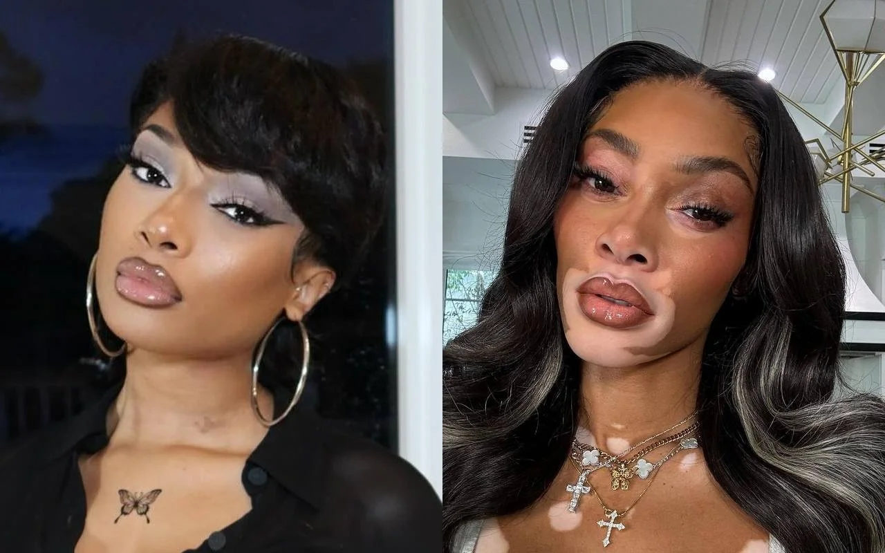 Megan Thee Stallion Threatened to Beat Up Winnie Harlow Over Tory Lanez Comment