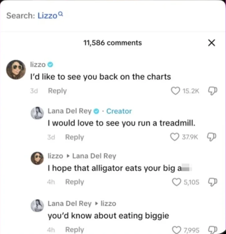 Fake screenshot of Lana Del Rey and Lizzo's interaction
