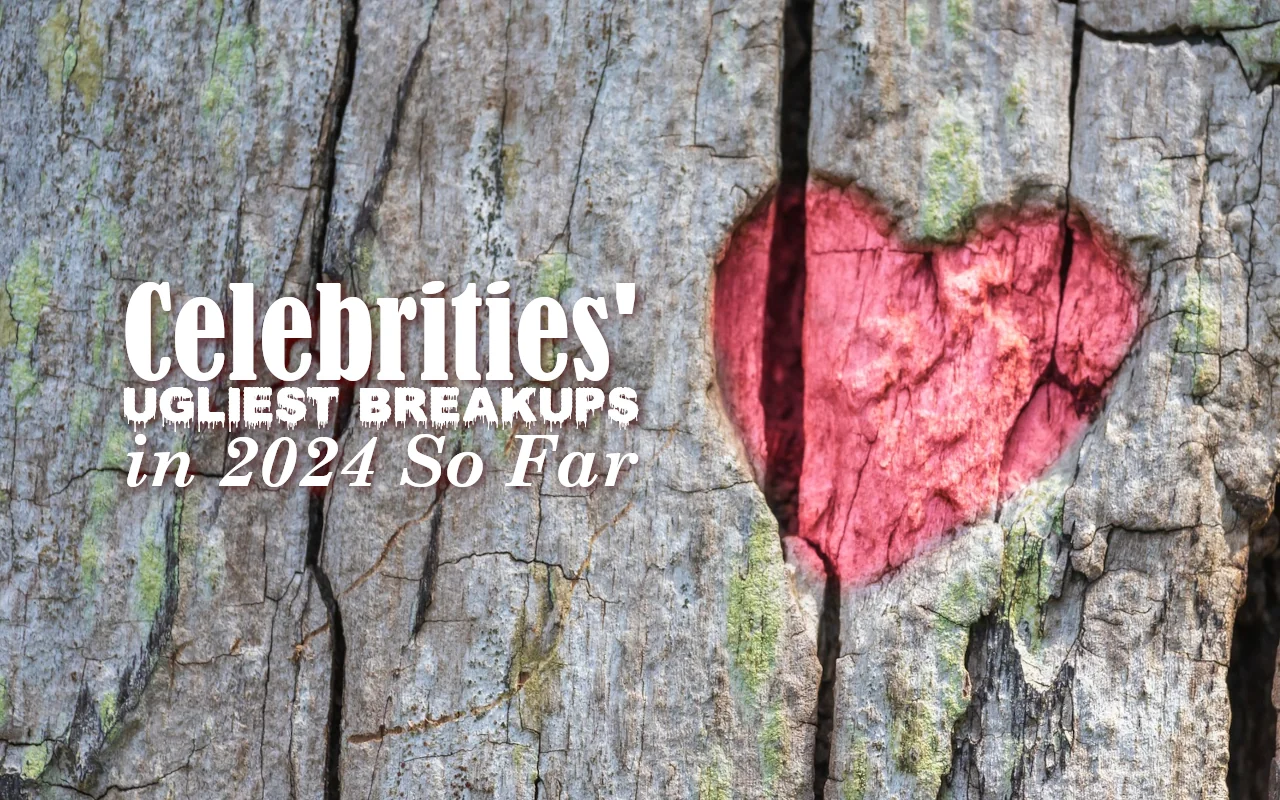 Celebrities' Ugliest Breakups in 2024 So Far