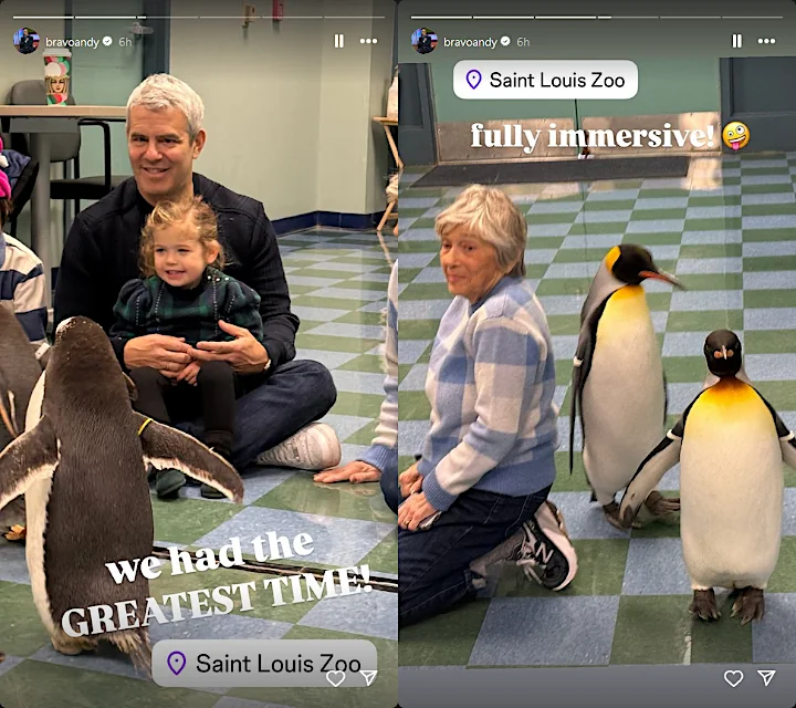 Andy Cohen's IG Stories
