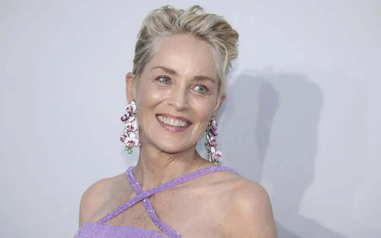 Sharon Stone Snarks About Being Cut From Blake Lively's 'Another Simple Favor'