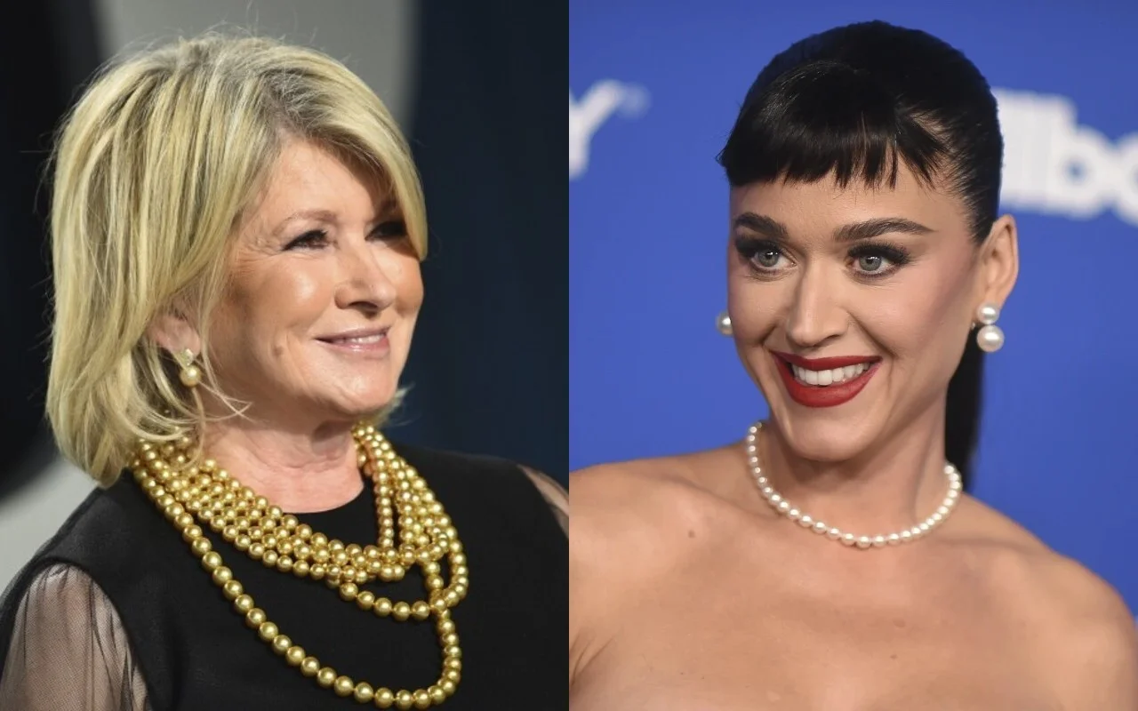 Martha Stewart Throws Shade at Katy Perry's Space Adventure