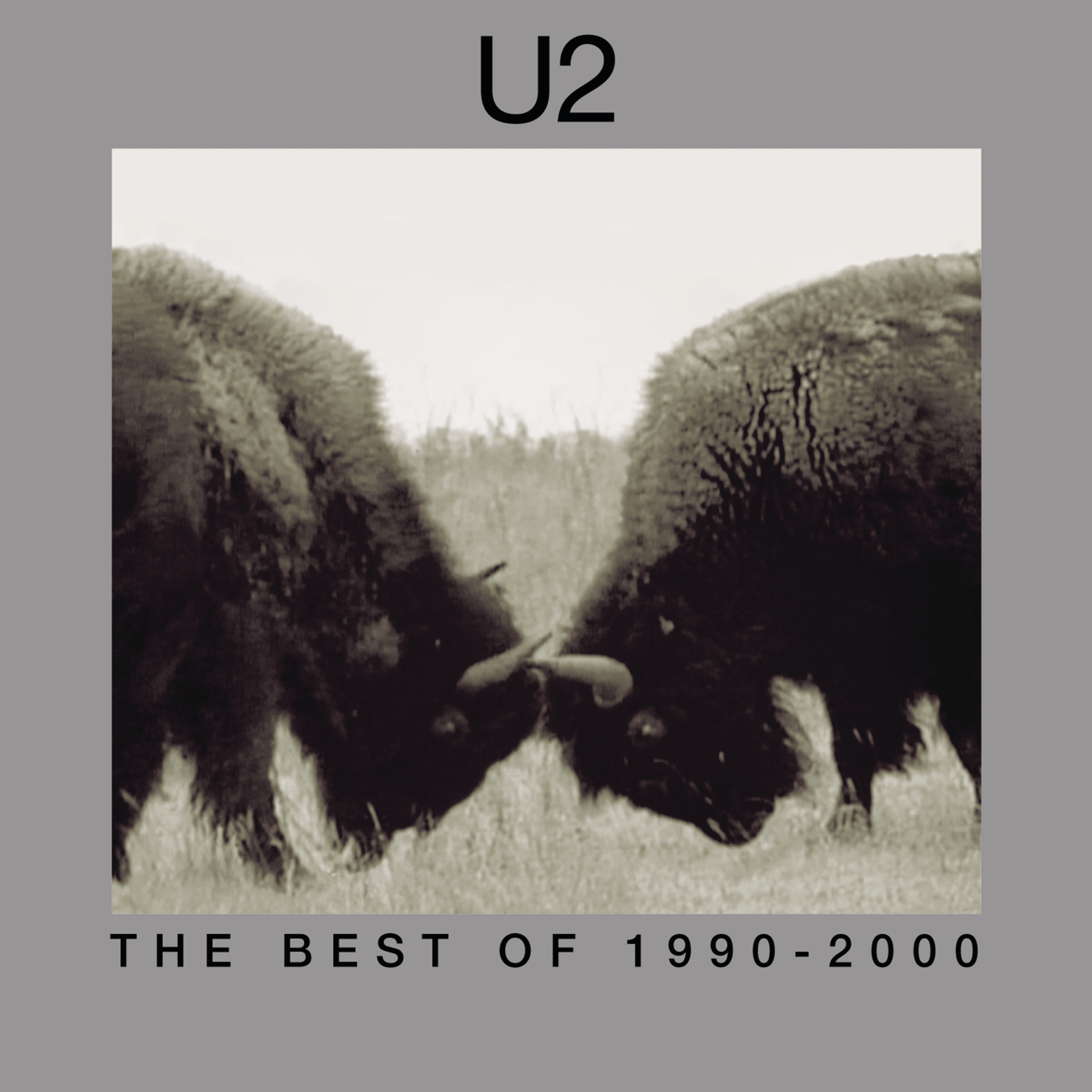 album / discography