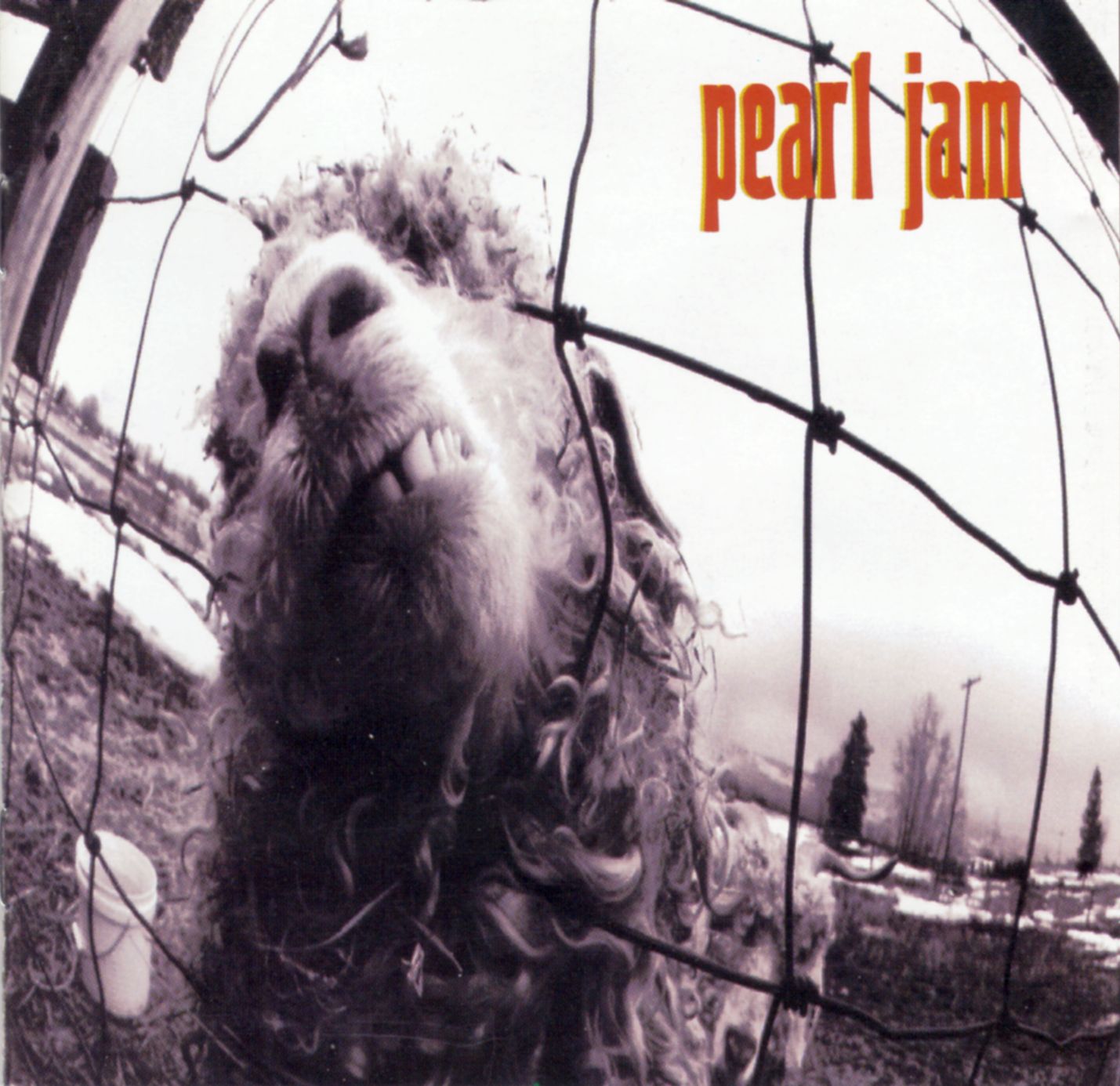 album / discography