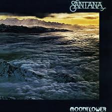 album / discography
