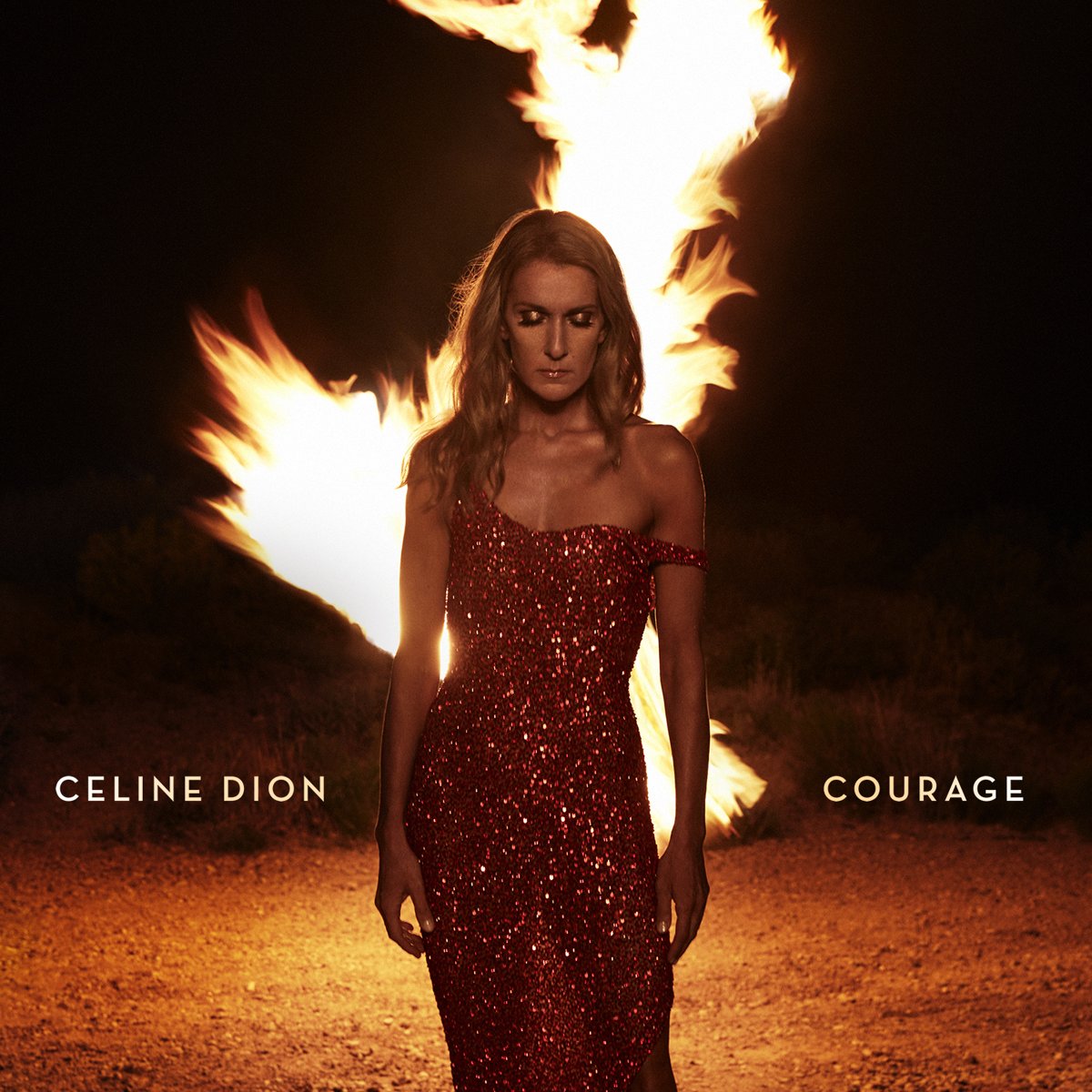 album / discography