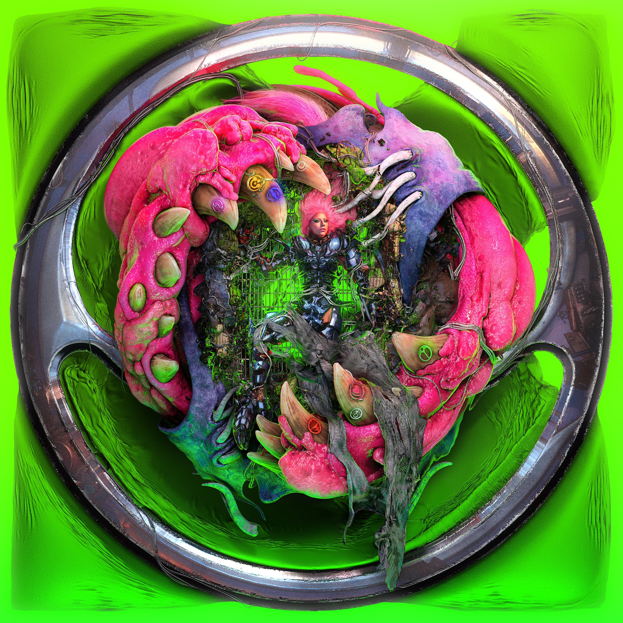 album / discography