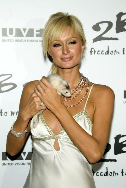 Paris Hilton<br>2 B Free's Spring 2006 Collection - Arrivals