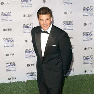 David Boreanaz in 35th Annual People's Choice Awards - Arrivals