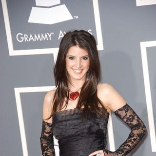 The 51st Annual GRAMMY Awards - Arrivals