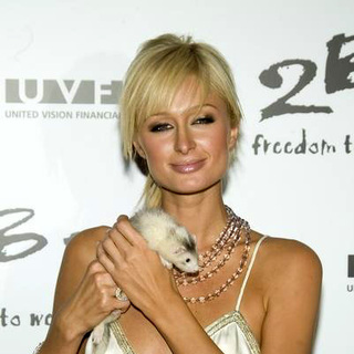 Paris Hilton in 2 B Free's Spring 2006 Collection - Arrivals