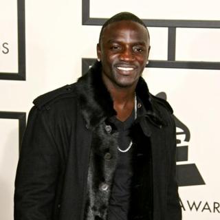 Akon; in 50th Annual GRAMMY Awards - Arrivals
