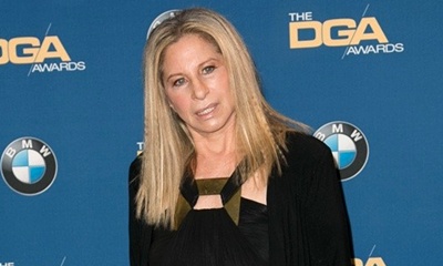Barbra Streisand's Dog Attacks Flight Attendant in Private Plane