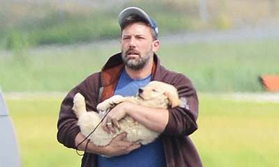 Ben Affleck Carries His Cute 'Family Dog' as He Arrives in Atlanta to Rejoin His Family