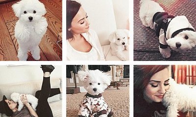 Demi Lovato Thanks Fans for Support After Death of Her Dog