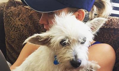 Newly Single Kaley Cuoco Adopts New Puppy, Chester
