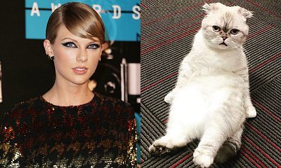 Taylor Swift Compares Her Cat Olivia to 'Melting Snowman' in Cute Picture