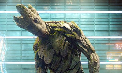 Vin Diesel Wants Giant Groot for 'Guardians of the Galaxy 2'